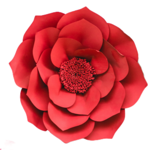 Red Flower Art PNG