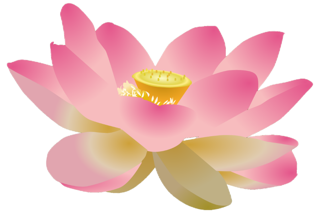 Lotus Flower Vector PNG