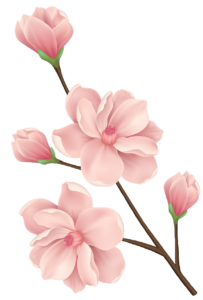 Spring Flower clipart PNG 