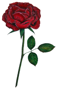 Rose Flower Artwork PNG