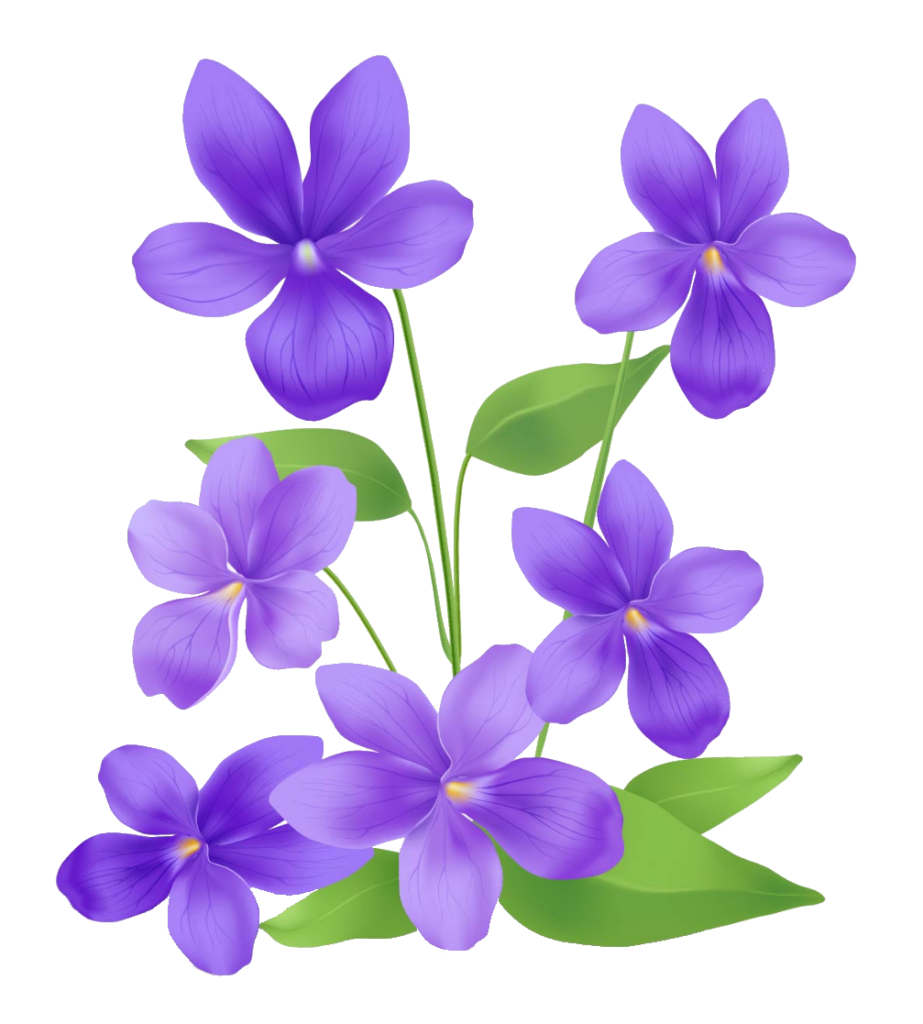 Flower PNG Images free Download - Pngfre