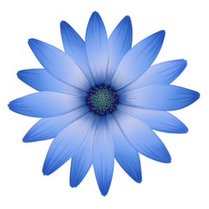 Blue Flower Vector PNG
