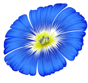 Blue Flower clipart PNG