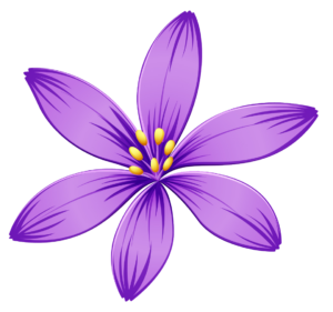 Beautiful Flower Design PNG