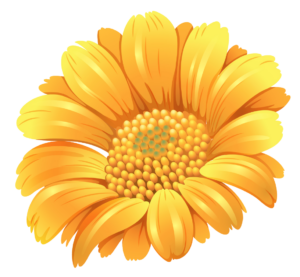 Yellow Flower Vector PNG