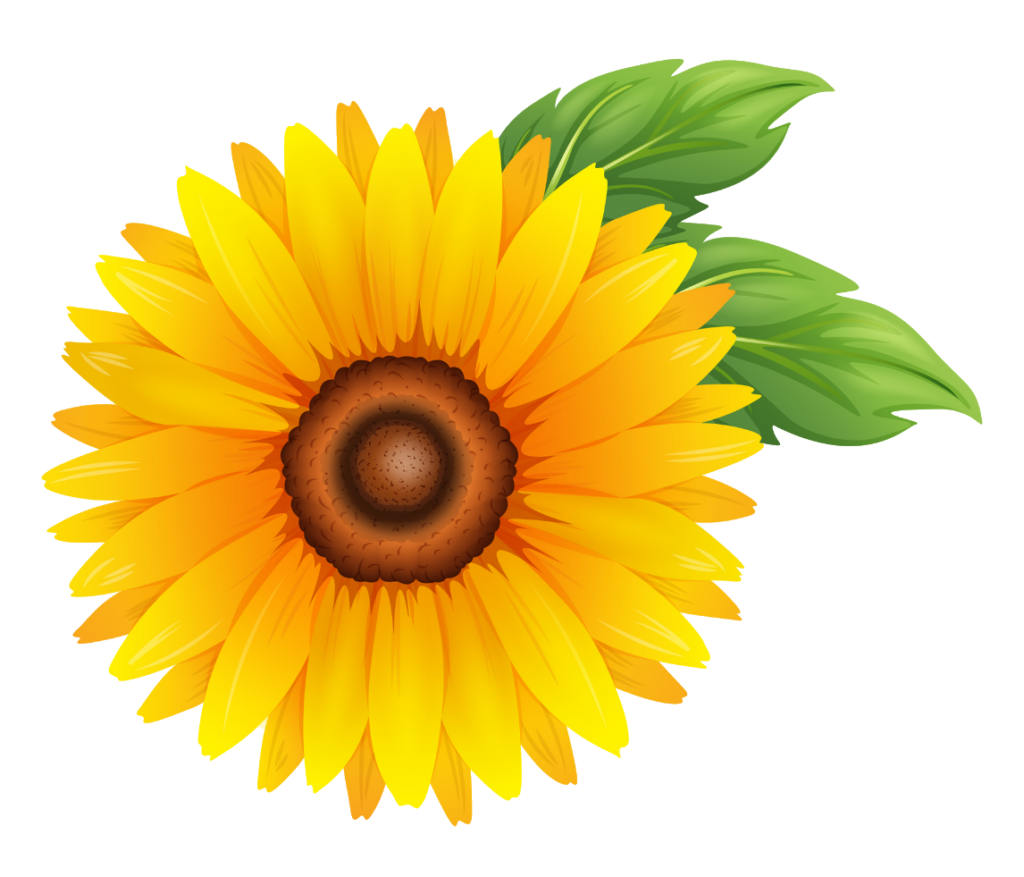 Flower PNG Images free Download - Pngfre