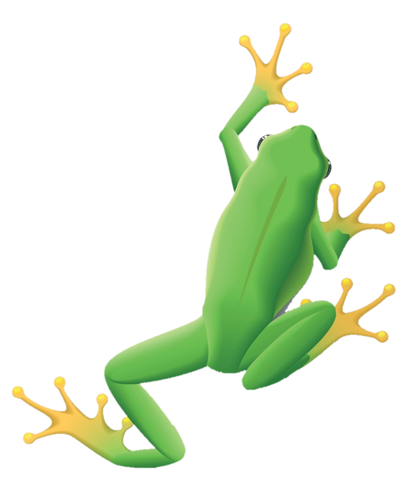 Frog Png Vector Image