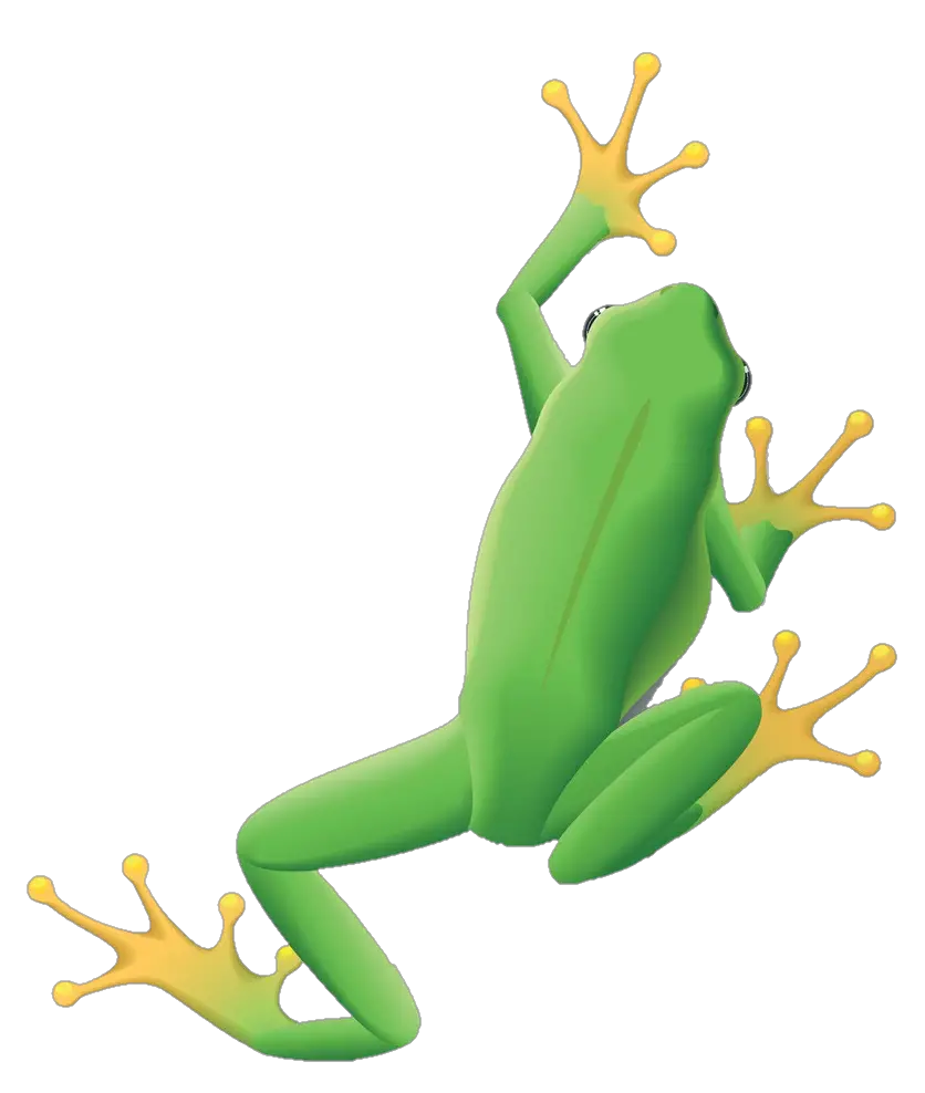 frog-png-image-from-pngfre-13