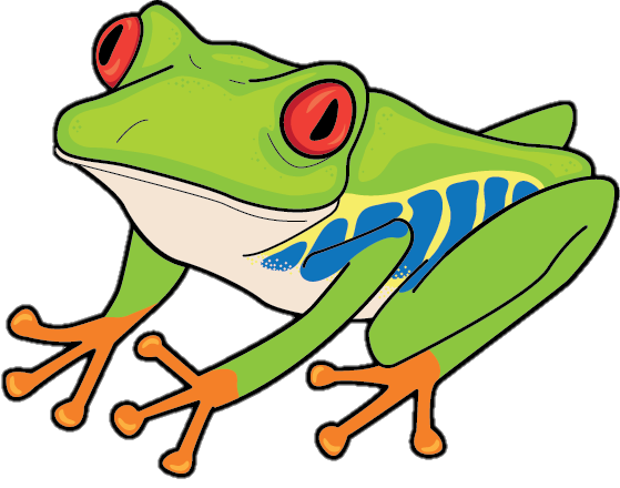 Frog Png Clipart Image