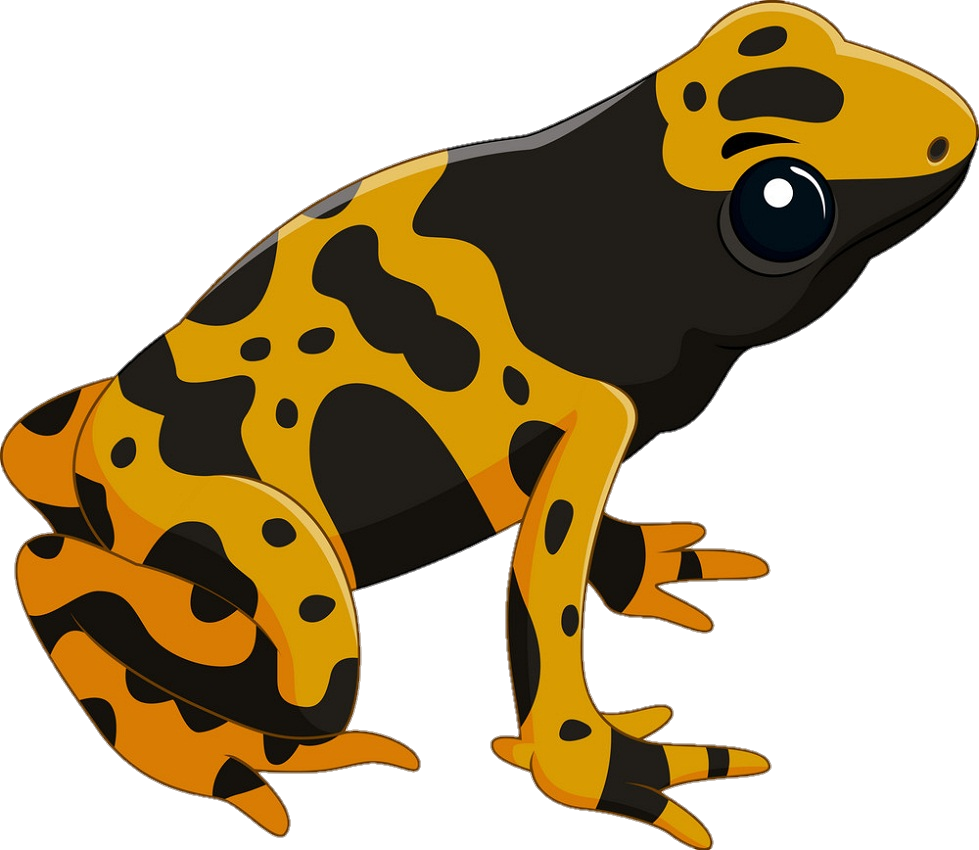 Orange Frog Png