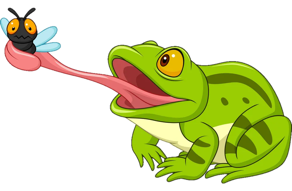 Eating Frog Png