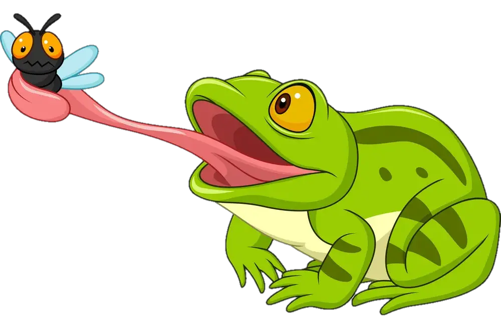 Eating Frog Png