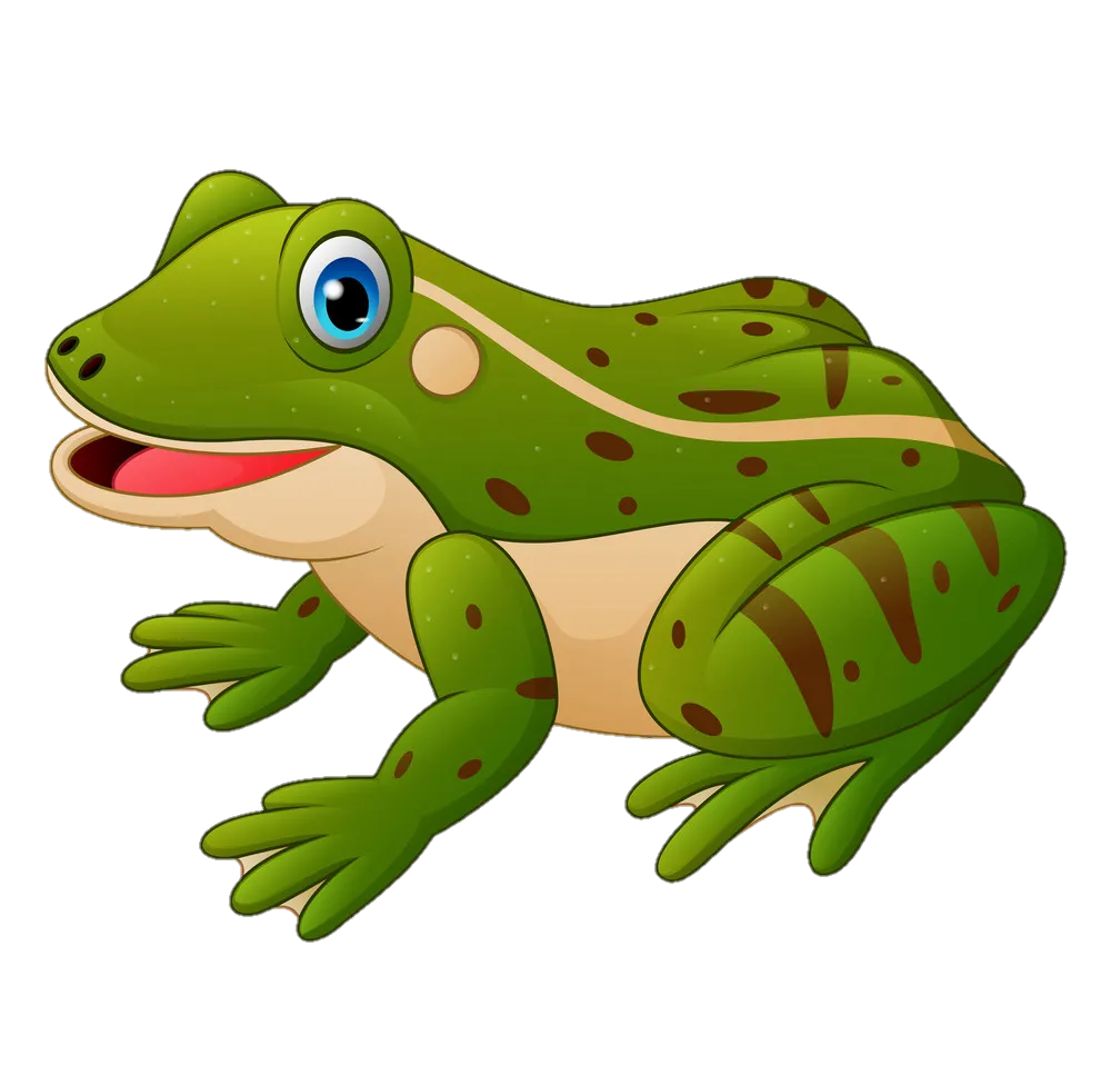 Frog Png Clipart Image Download 