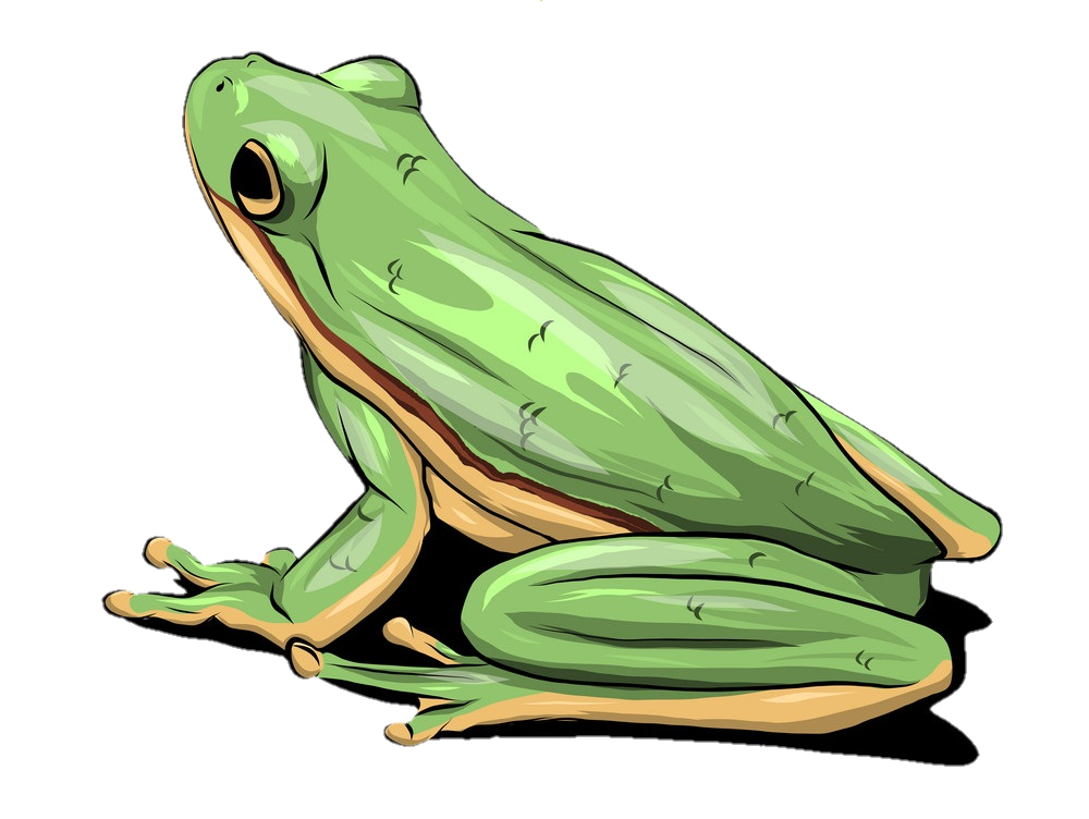 Frog Png Clipart image