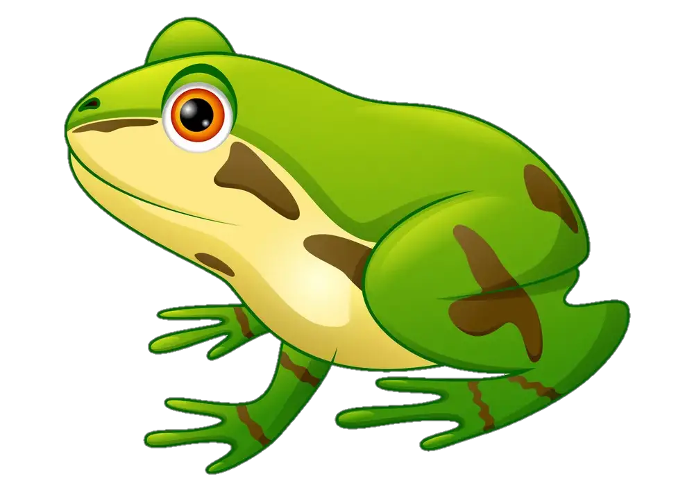 frog-png-image-from-pngfre-36