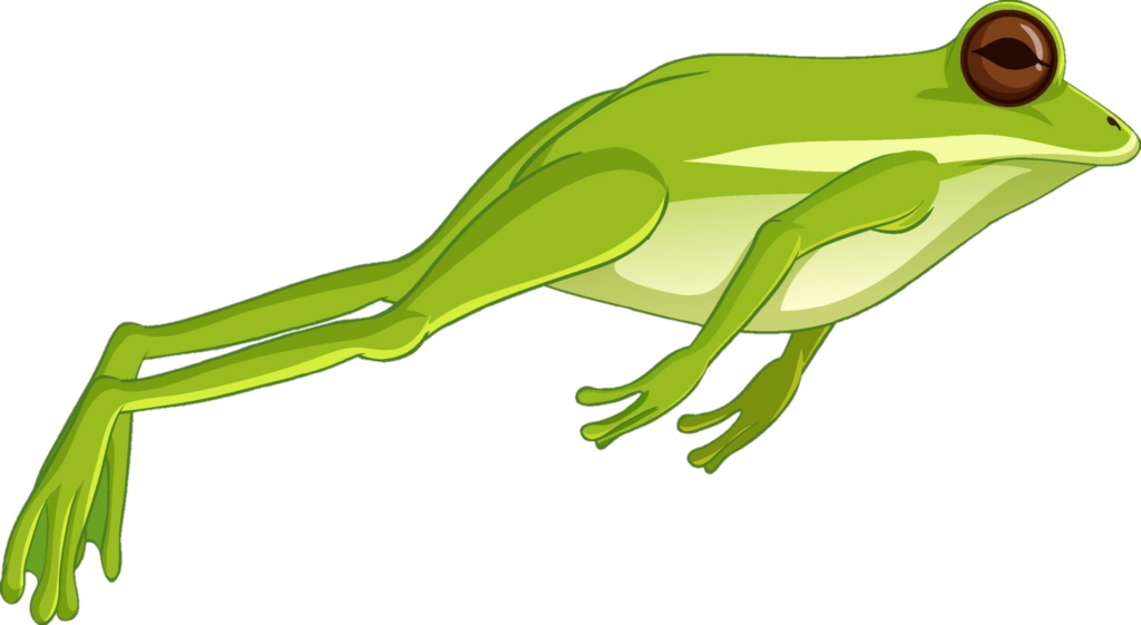 Jumping Frog Png
