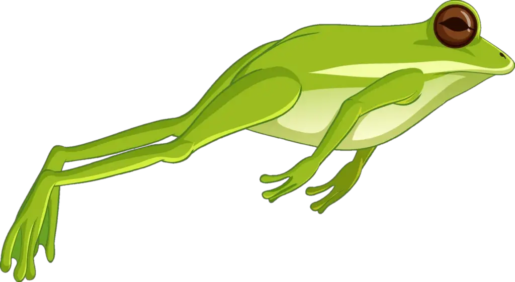 Jumping Frog Png