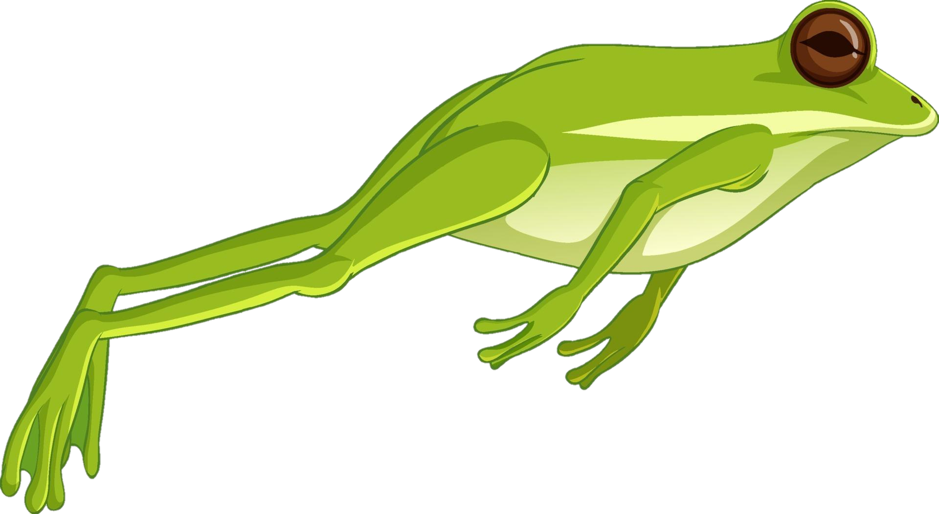 frog-png-image-from-pngfre-4