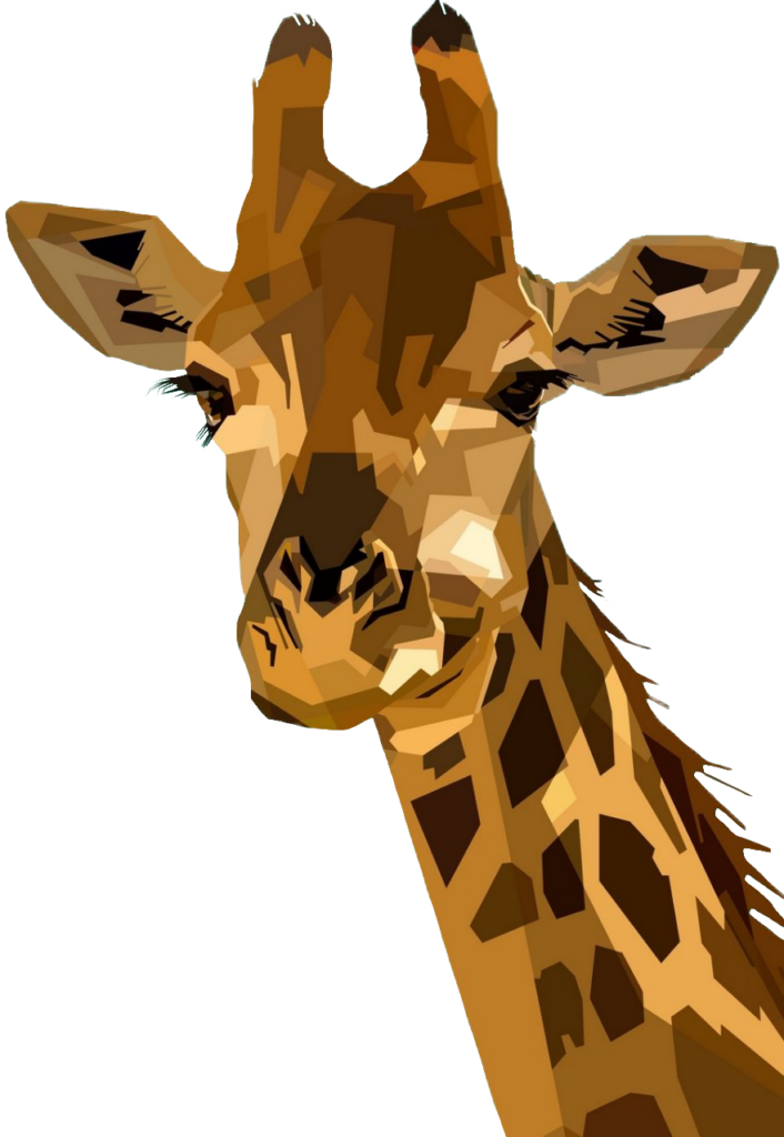 Giraffe Art PNG