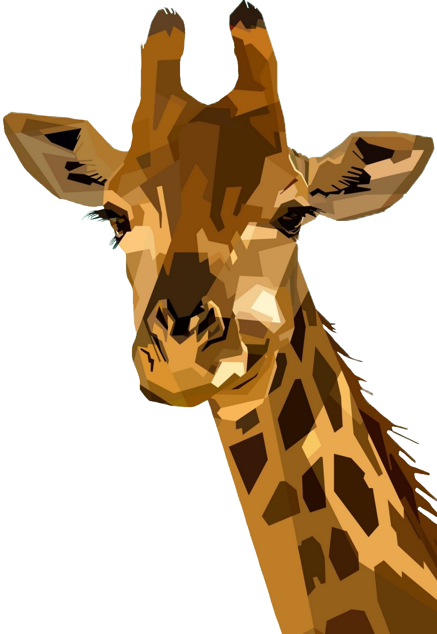 giraffe118
