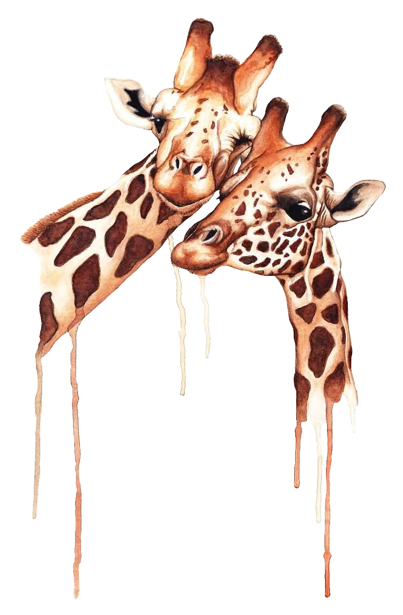 giraffe123
