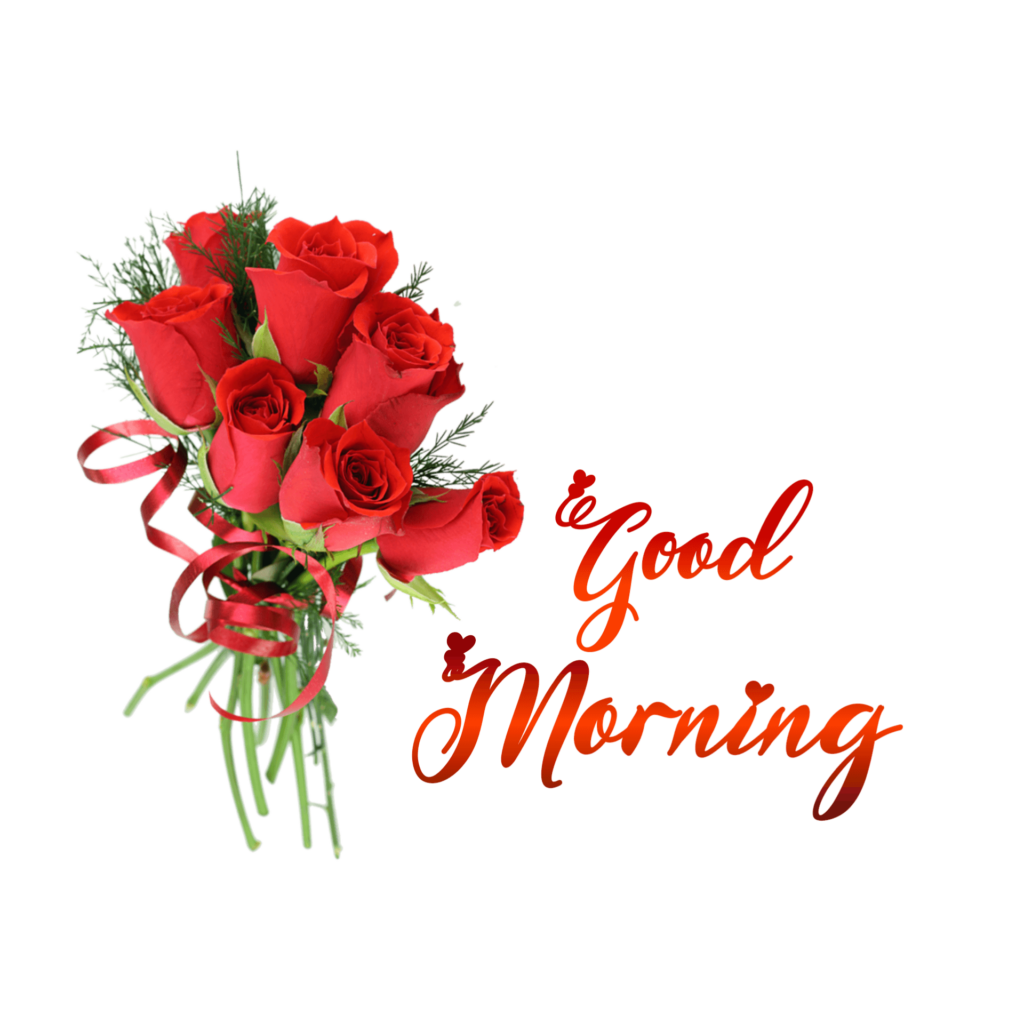 Red Roses Good Morning Png