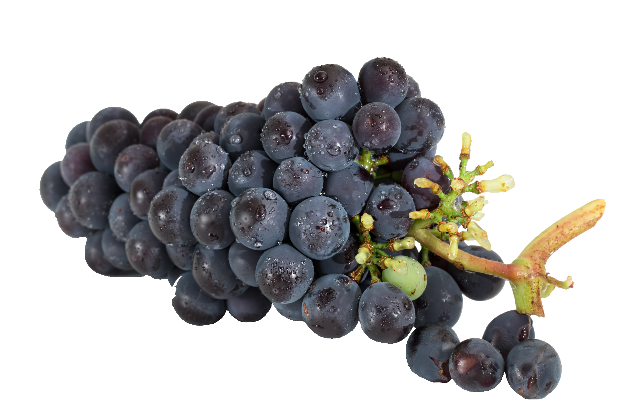 grape-29-1