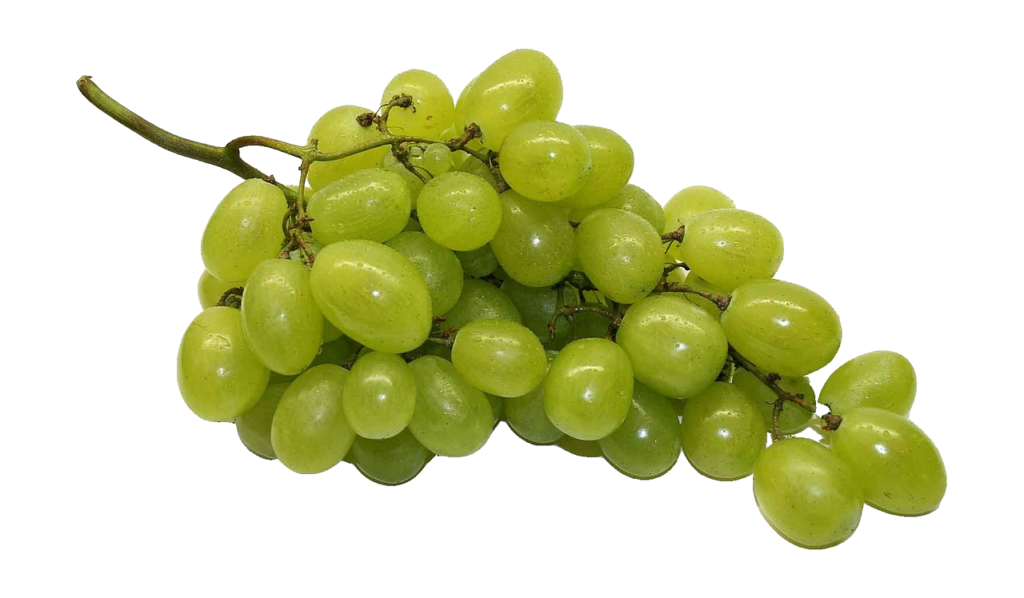 Transparent Grape Png
