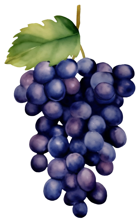grape-31