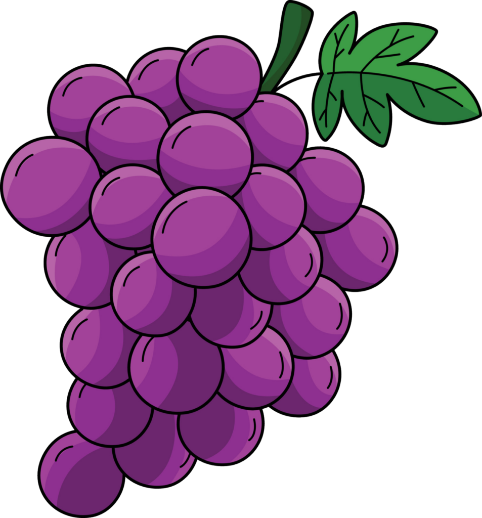 Violet Grape Vector Png