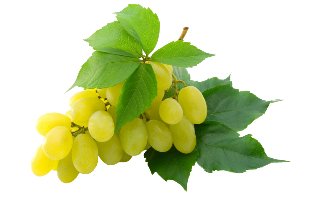 Transparent Grape Png Image