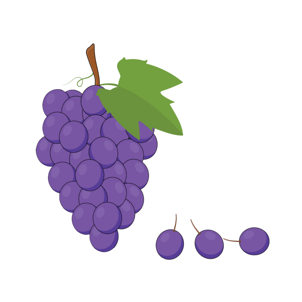 Animated Violet Grape Png