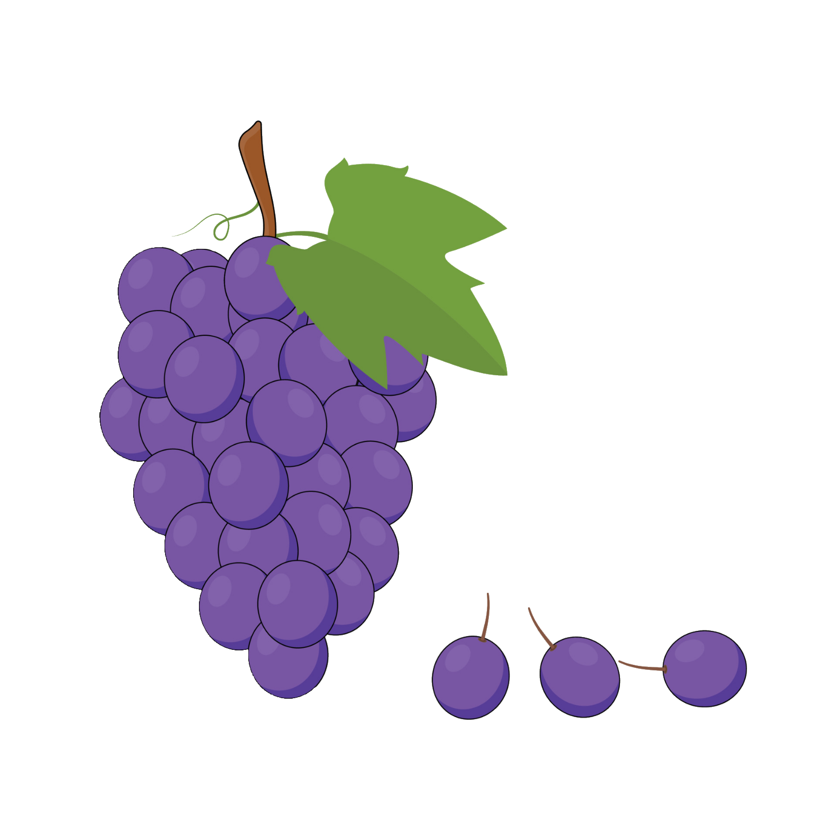 grape-37