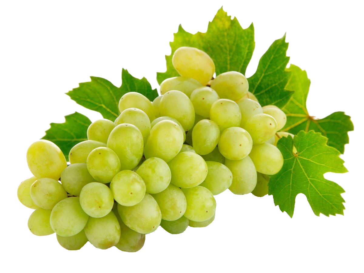 grape-38