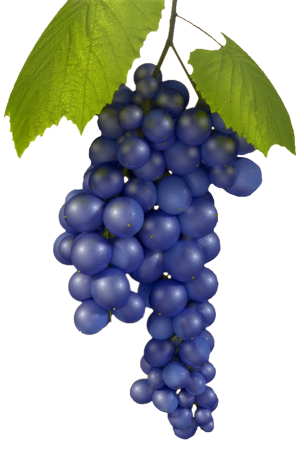 Aesthetic Blue Grape Png