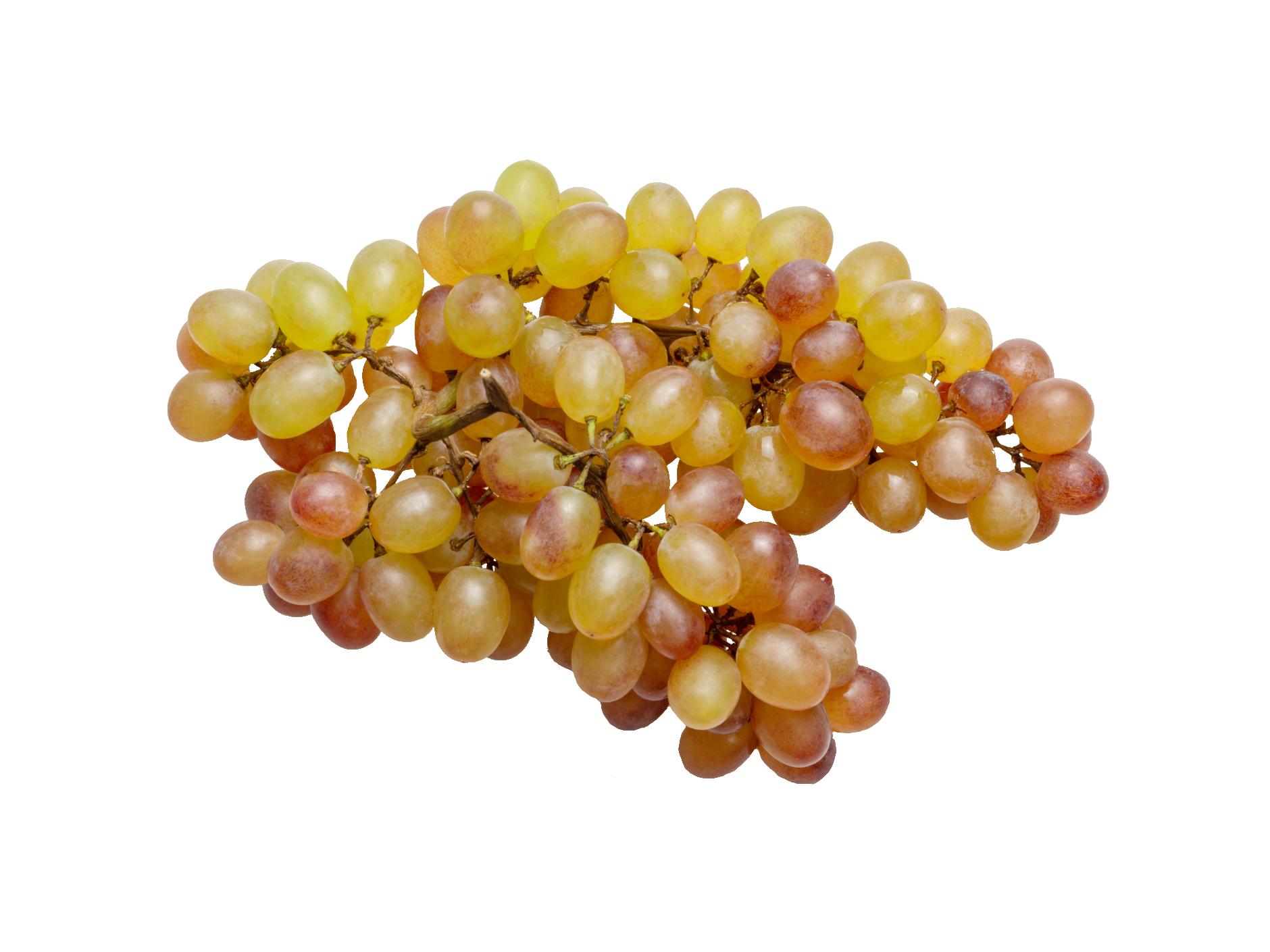 grape-42