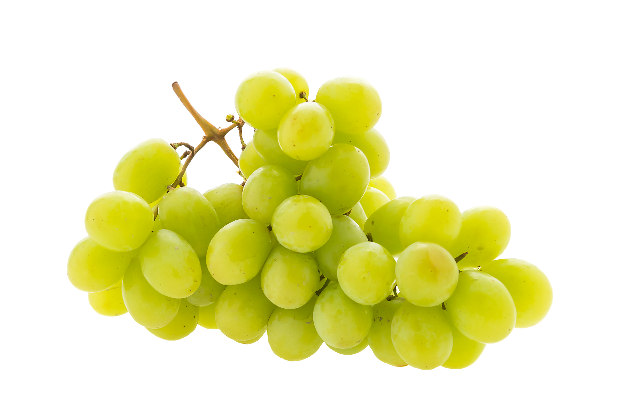 grape-46
