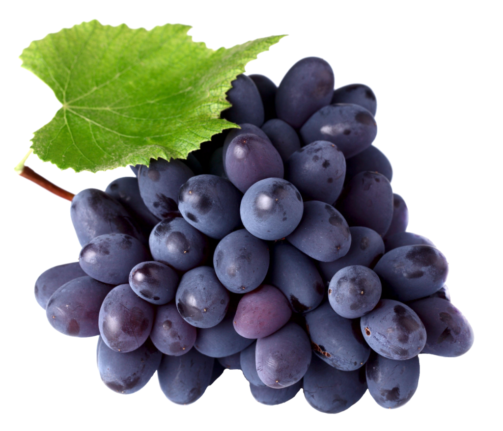 Violet Grape Png
