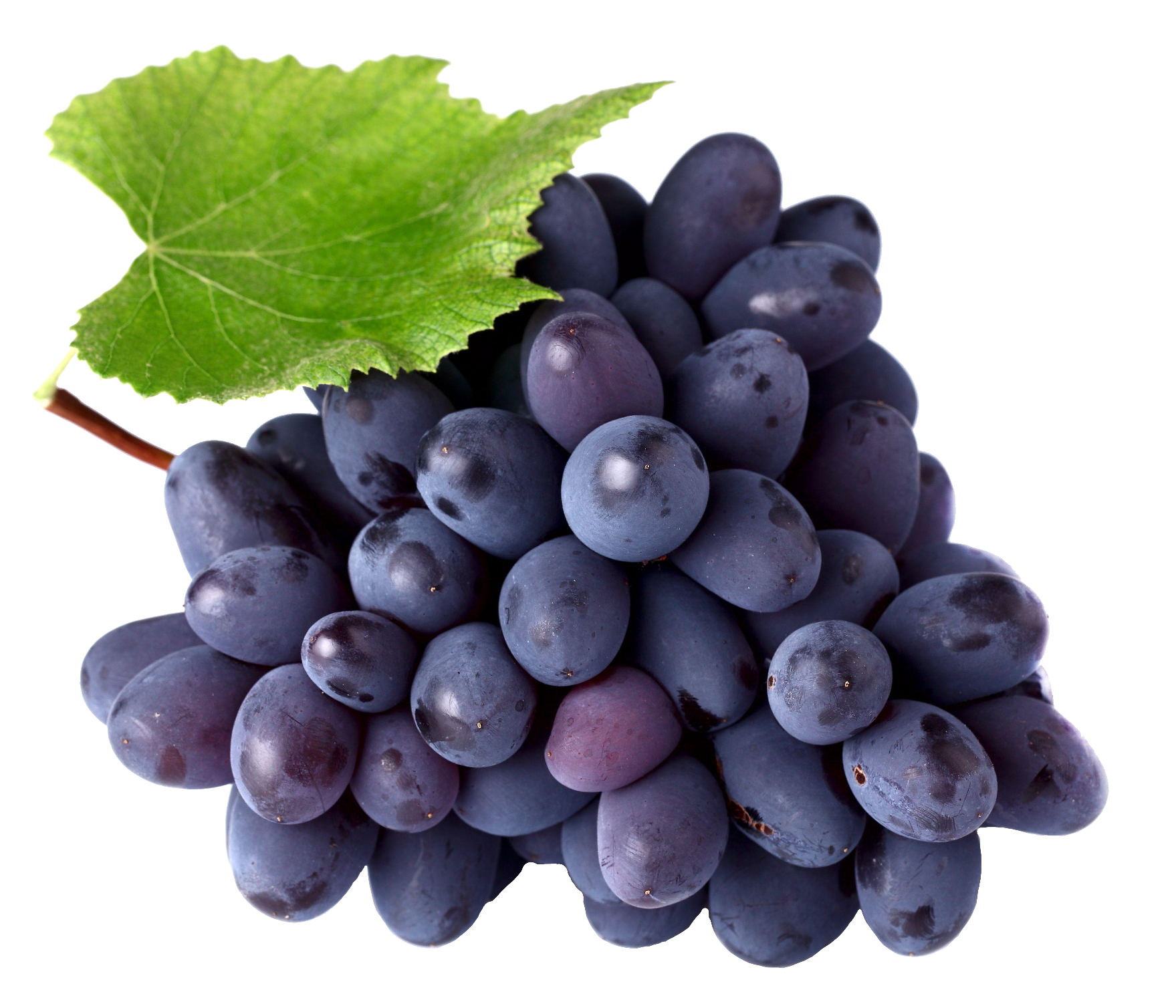grape-48
