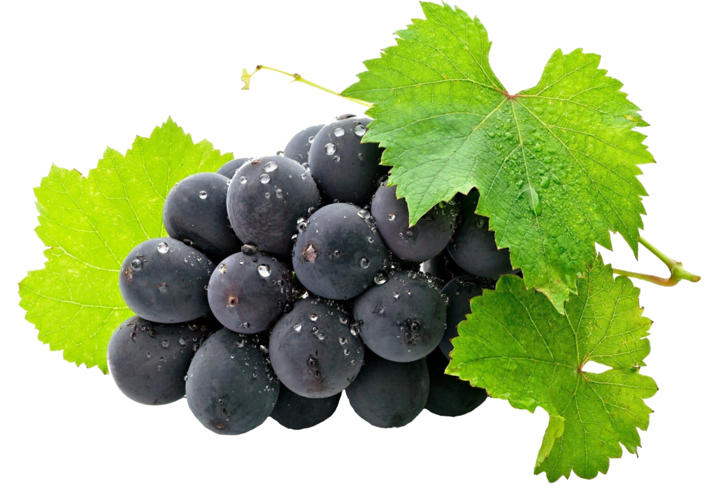 Black Grape Fruit Png