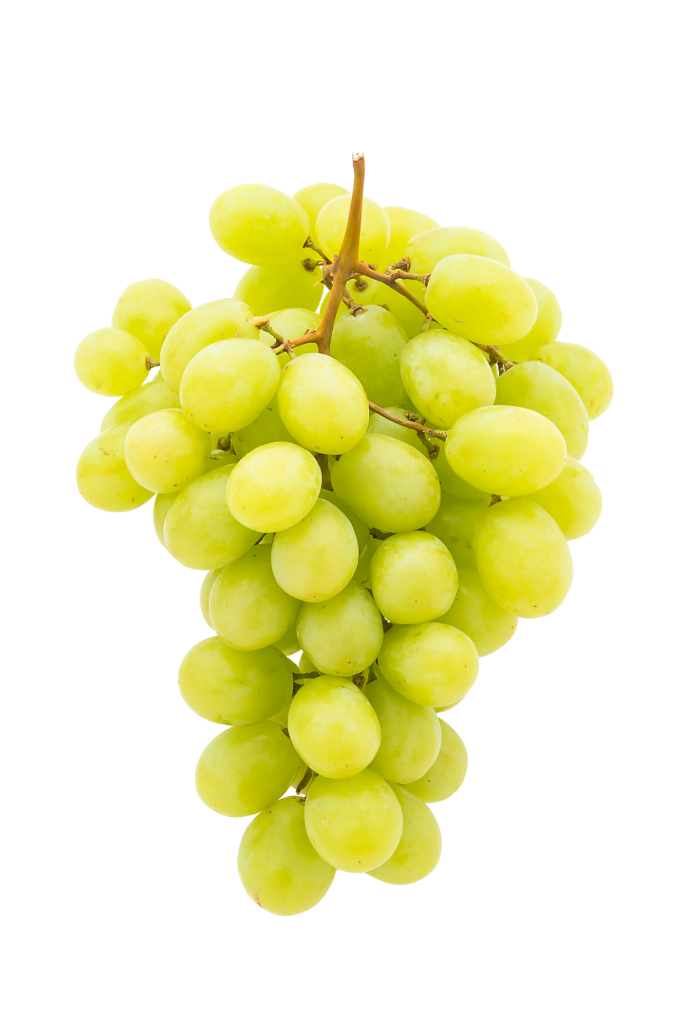 High-resolution Grape Png