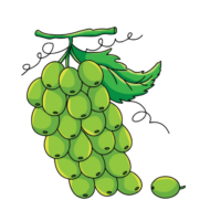 Grape Png Image