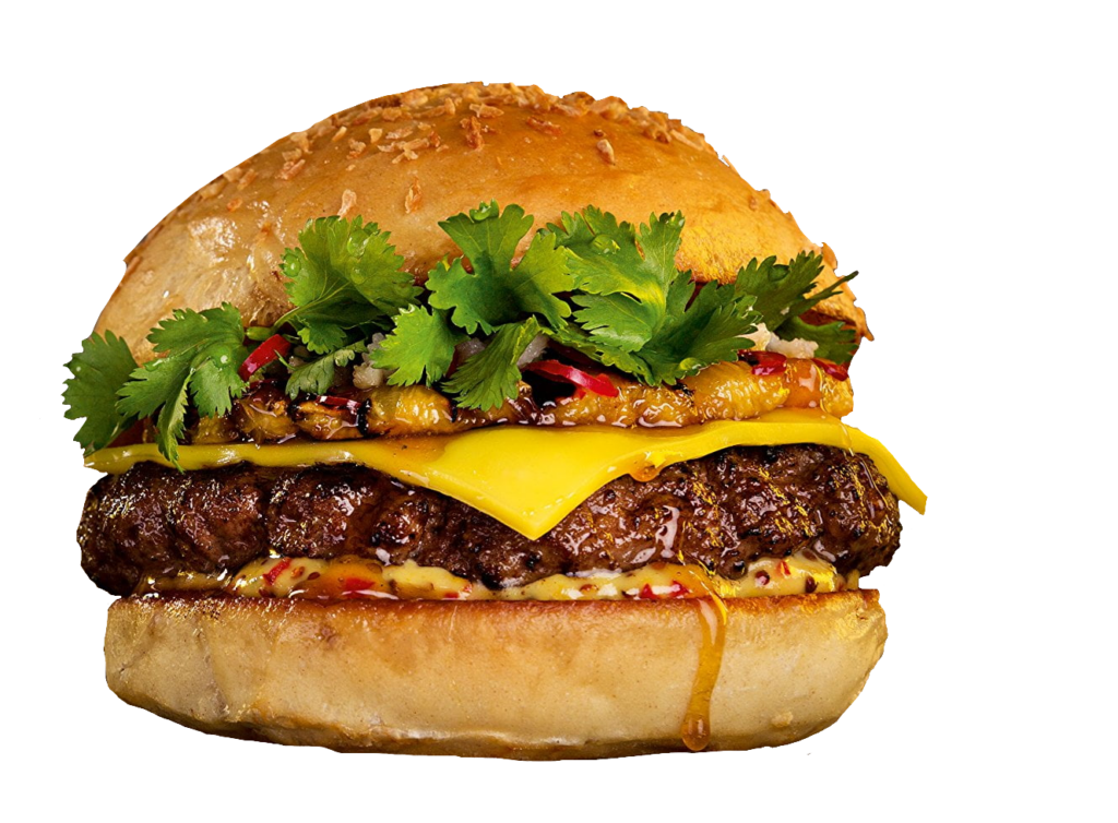 Hamburger Png Image