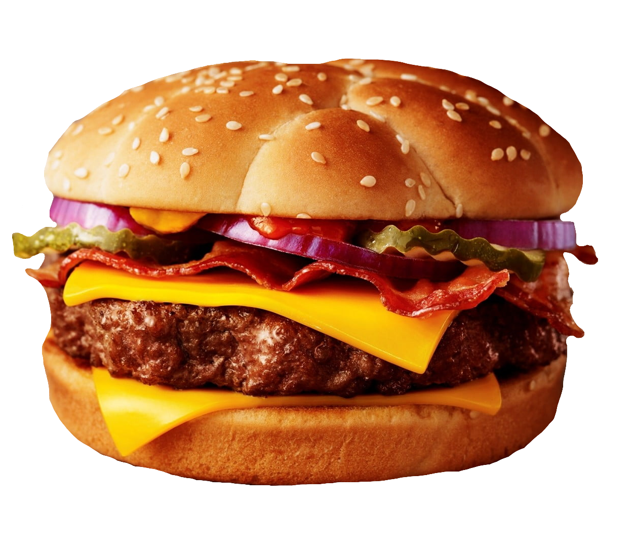 hamburger-5
