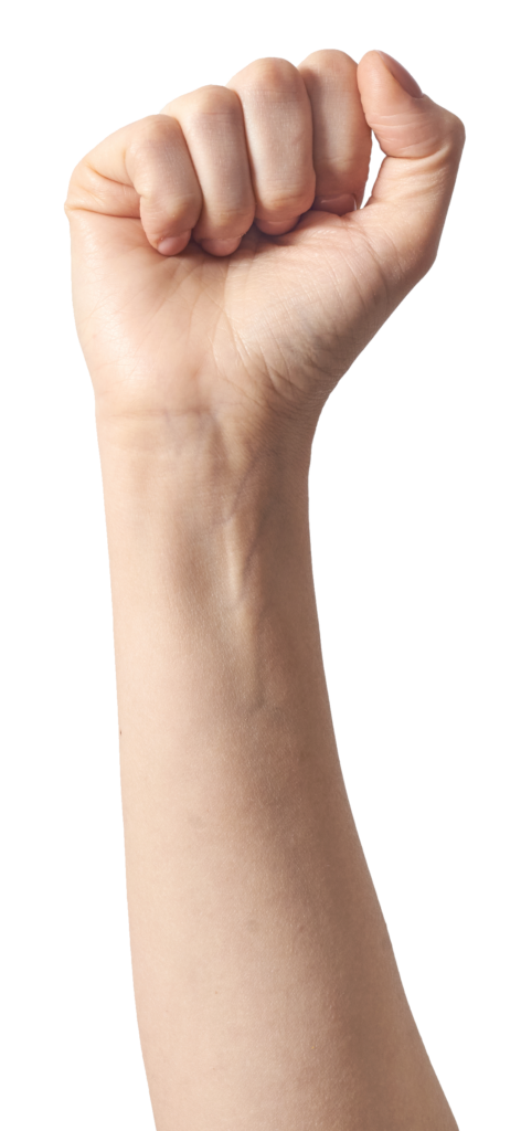 Hand Fist PNG