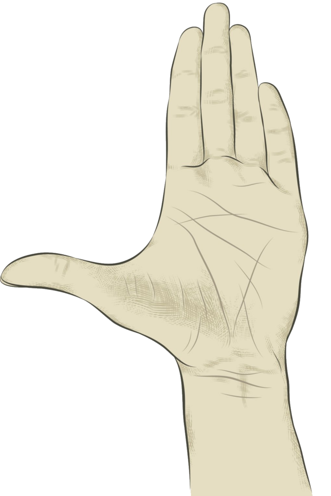 Hand Drawing PNG
