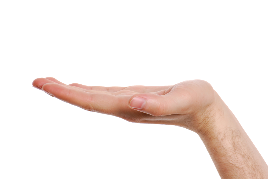 Transparent Hand PNG Image