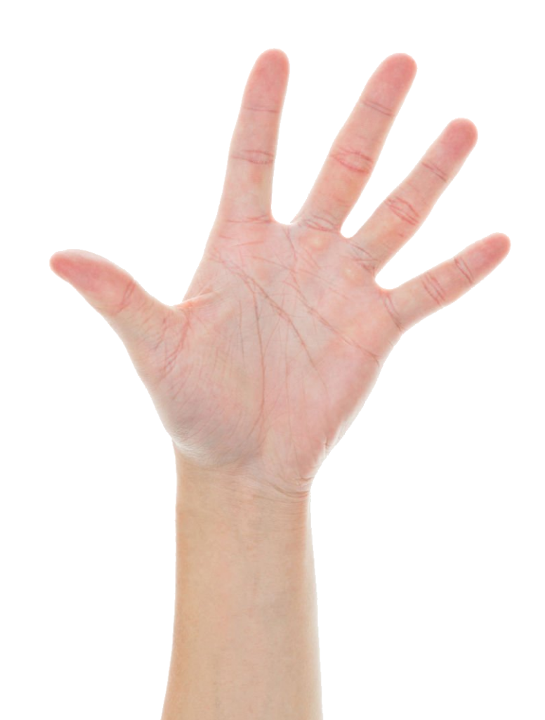 Five Finger Hand PNG