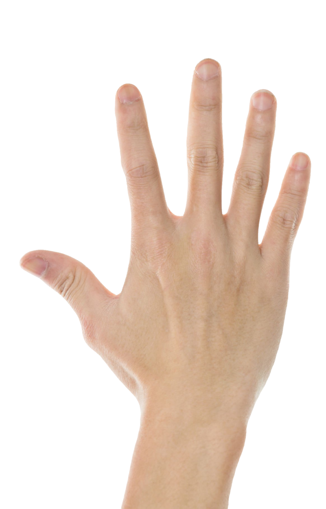 Five Finger Hand PNG