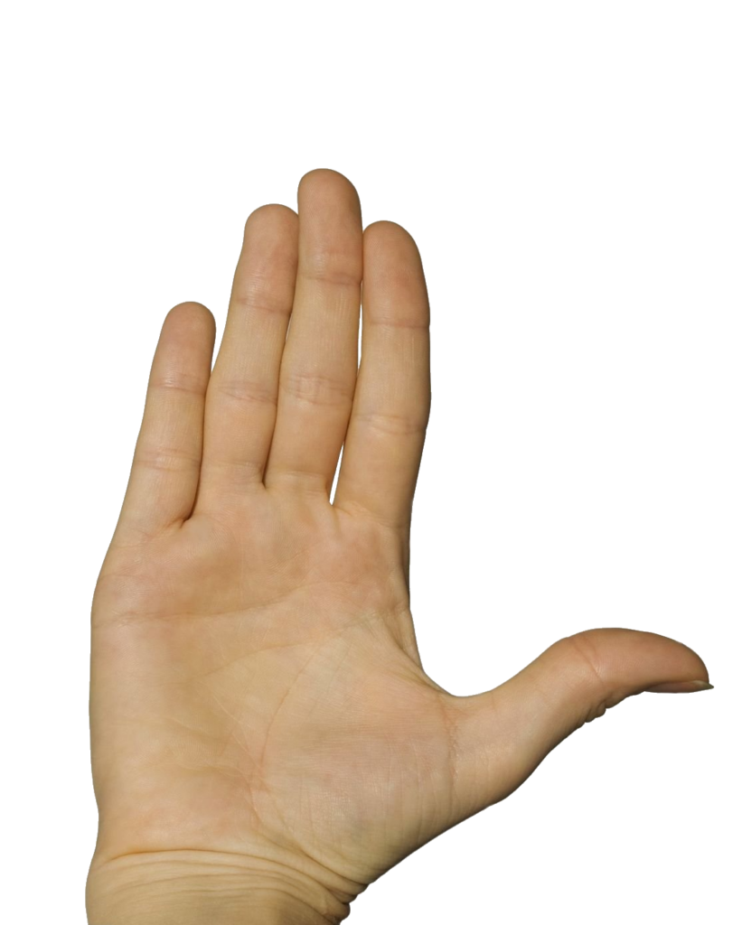 Transparent Hand PNG